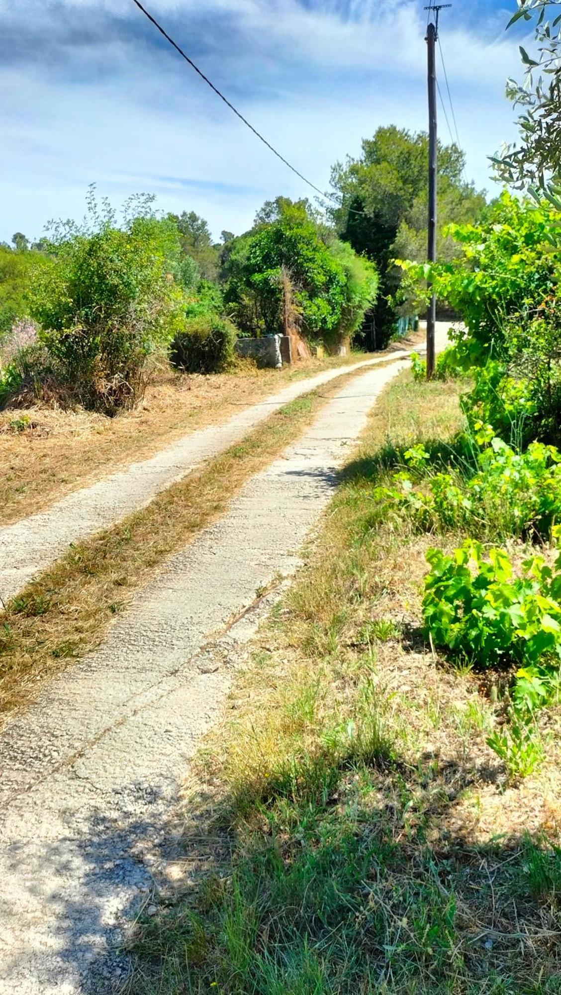 Fenouillet Apartman Hyères Kültér fotó